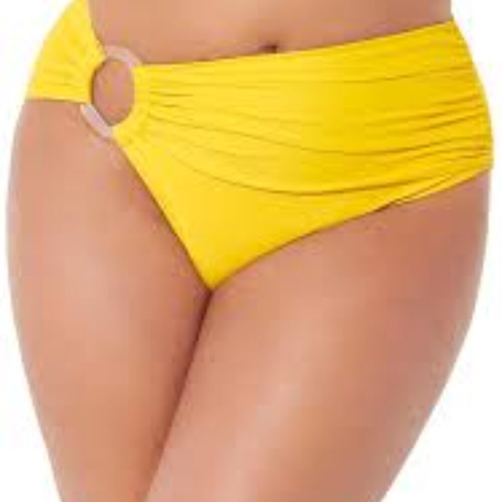 NWT Gabi Fresh swim bottoms